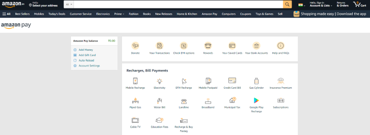 AmazonPay Homepage